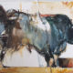 Blue Bulls, 2017 watercolour, 56 x 76 cm SOLD